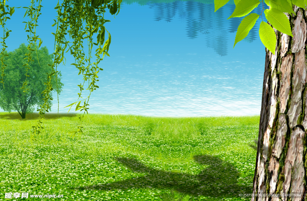 绿色自然背景壁纸图片