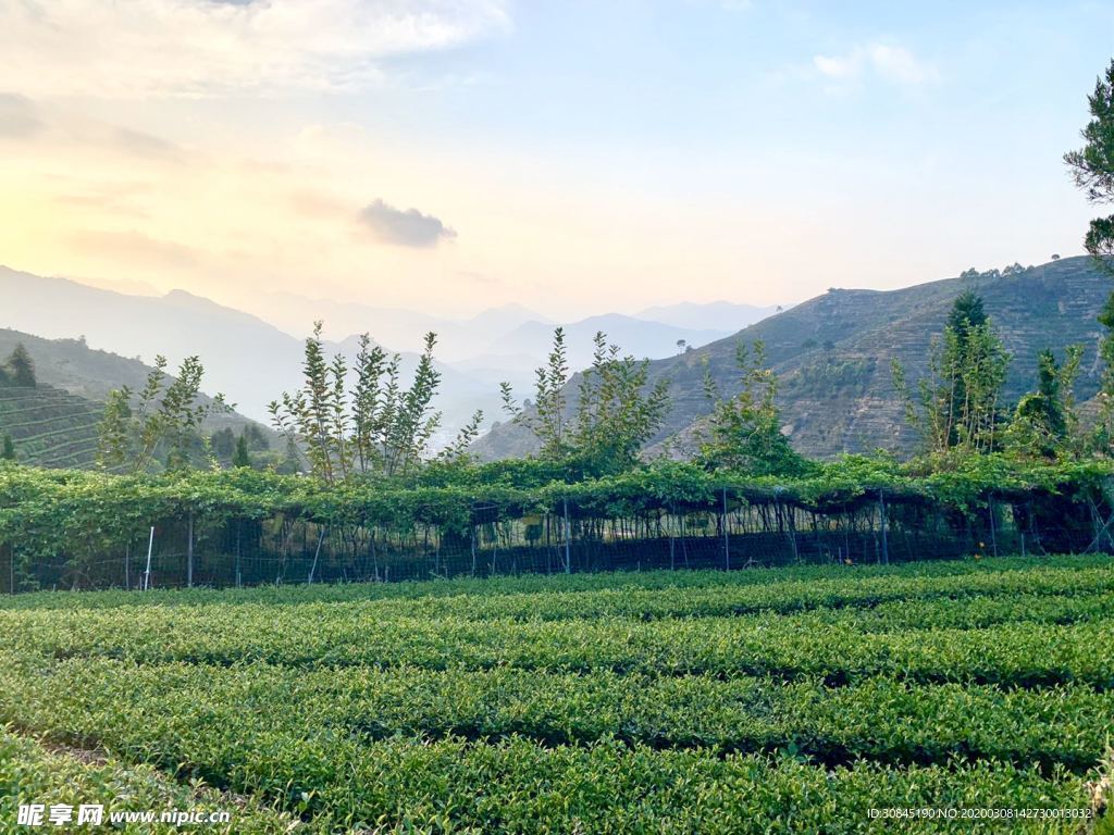 自然风景