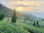 风景图片