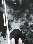 雨中倒影