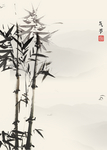 现代简约装饰