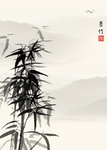 现代简约装饰