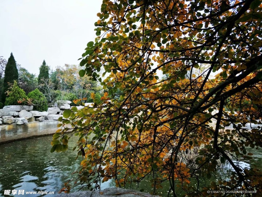 自然景