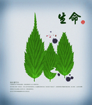 生命
