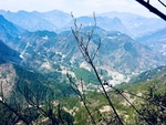 故乡风景