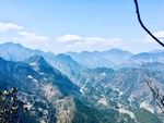 故乡风景