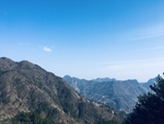 故乡风景