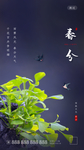 立春