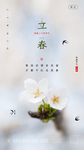 立春