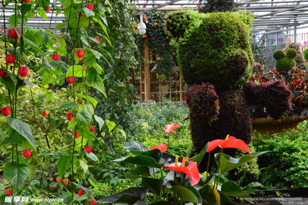 温室风景