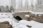 雪中公园石桥