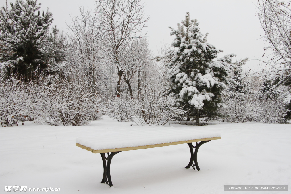 雪中长凳