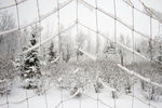雪中绳网