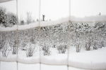 雪中绳网