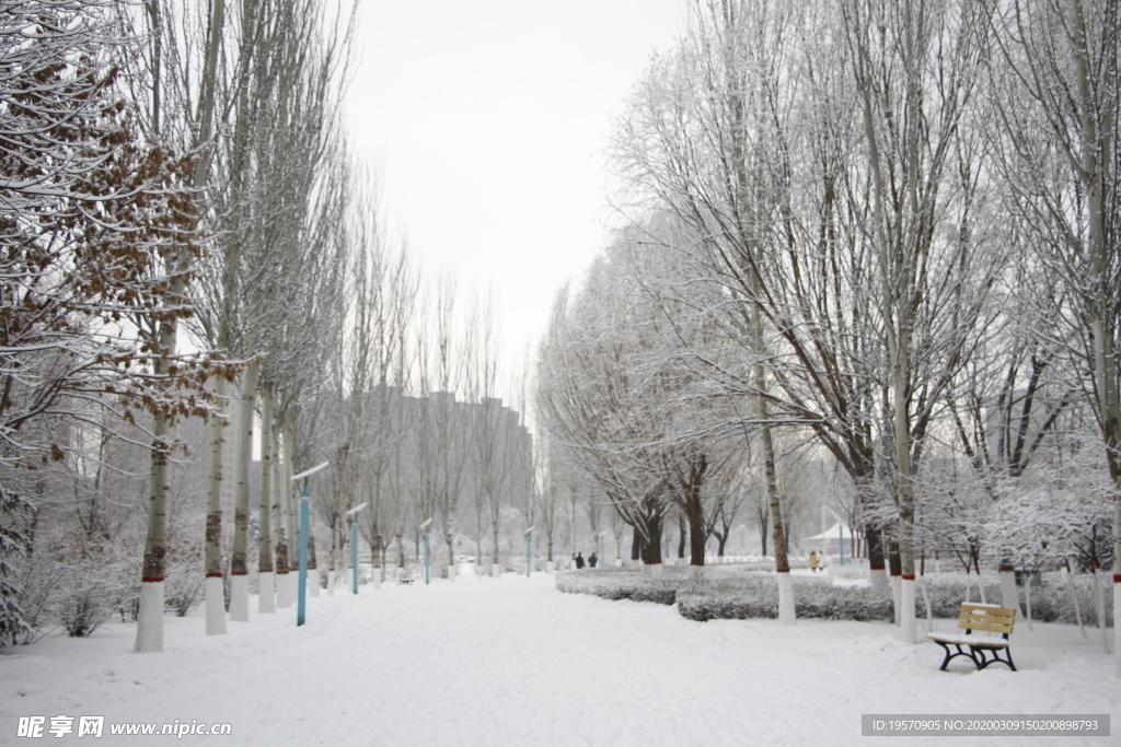 雪中公园小路