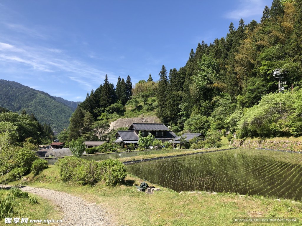 唯美风景