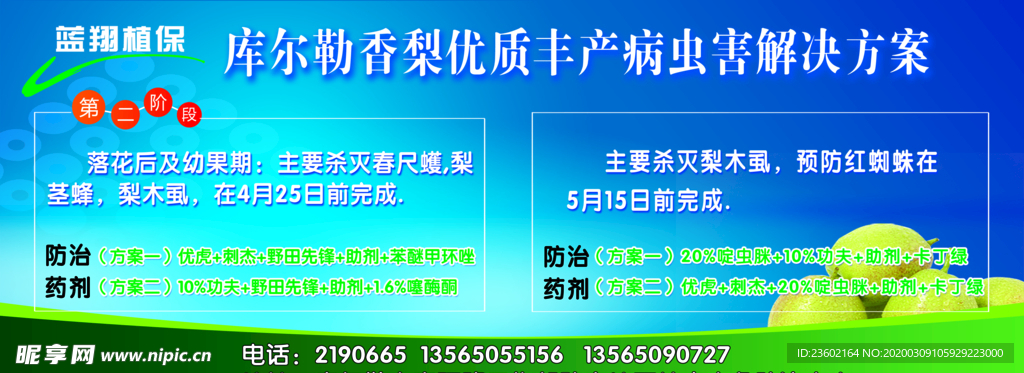 香梨优质丰产病虫黑解决方案