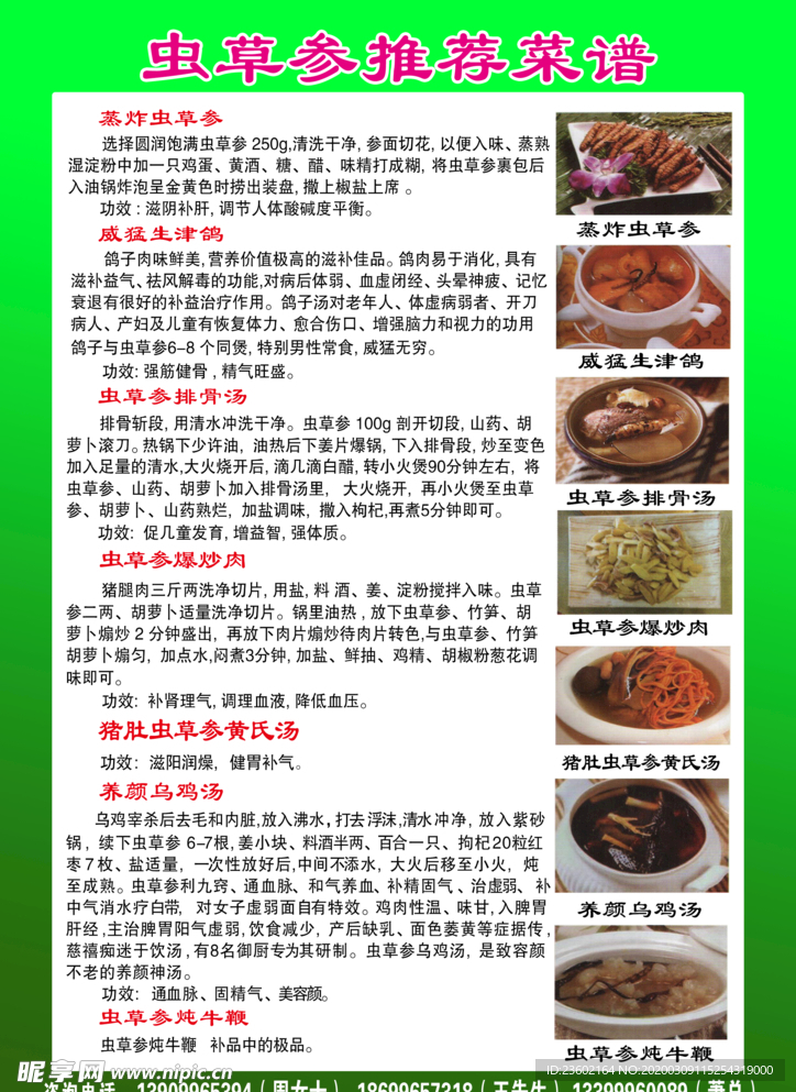 虫草参单页