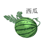 西瓜手绘插画