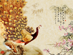 孔雀图