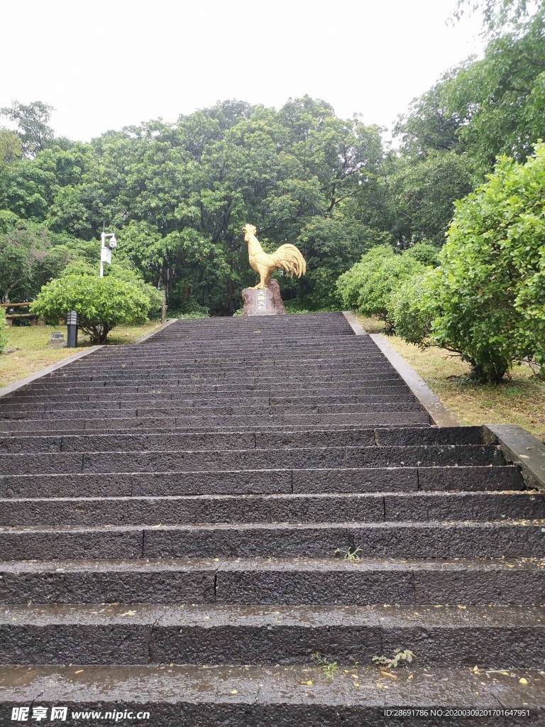 金鸡独立