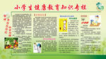 小学生健康教育知识