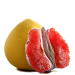 橙子