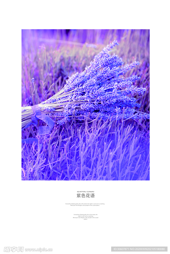 装饰画