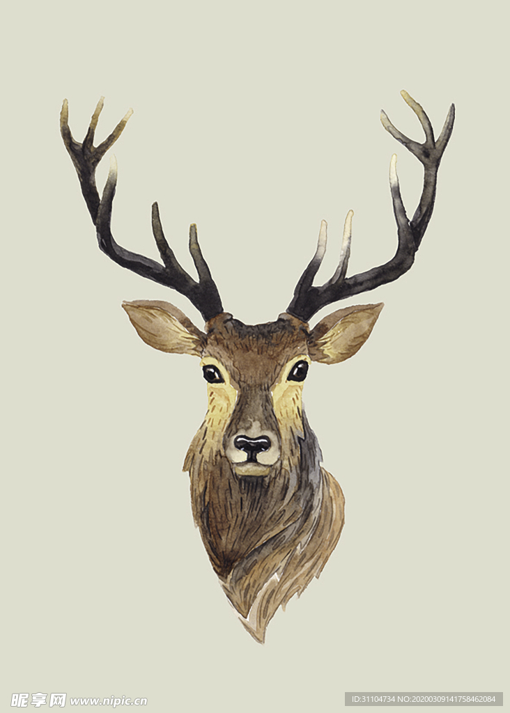 手绘插画