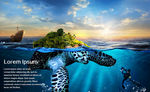 创意海报 海龟 合成创意 潜水