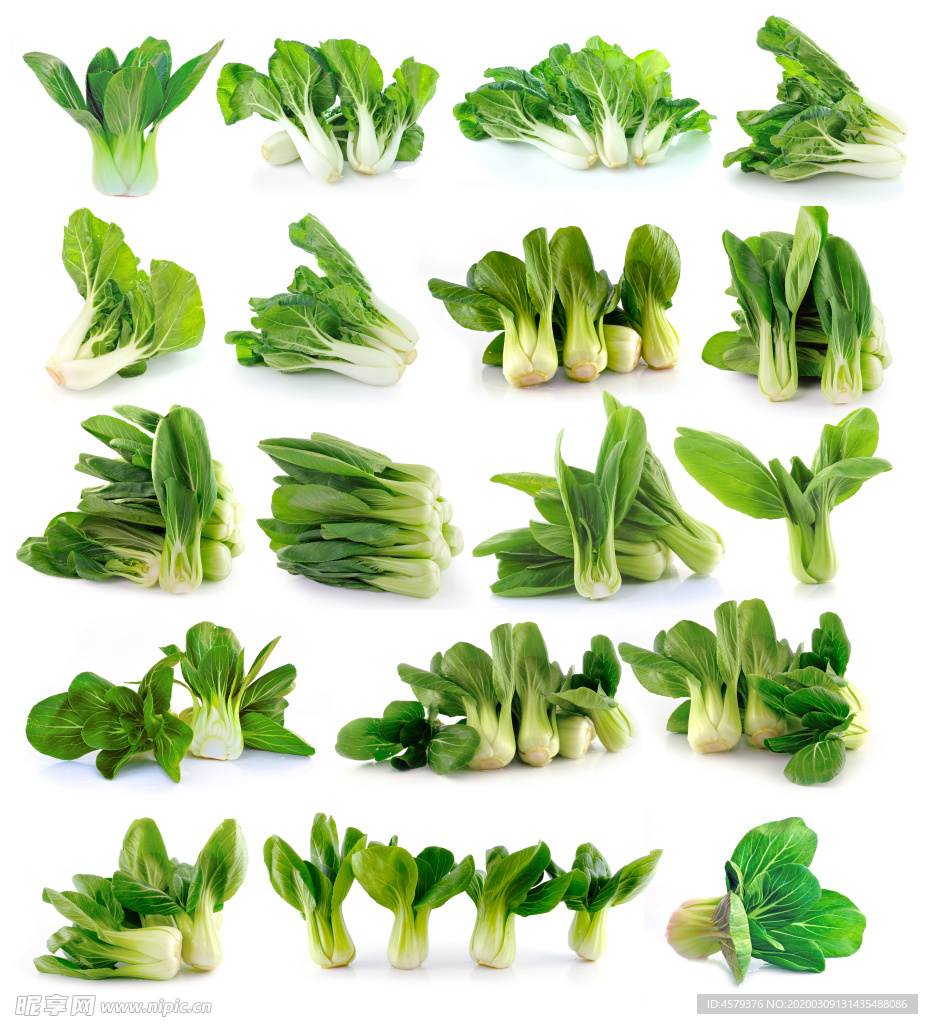 青菜