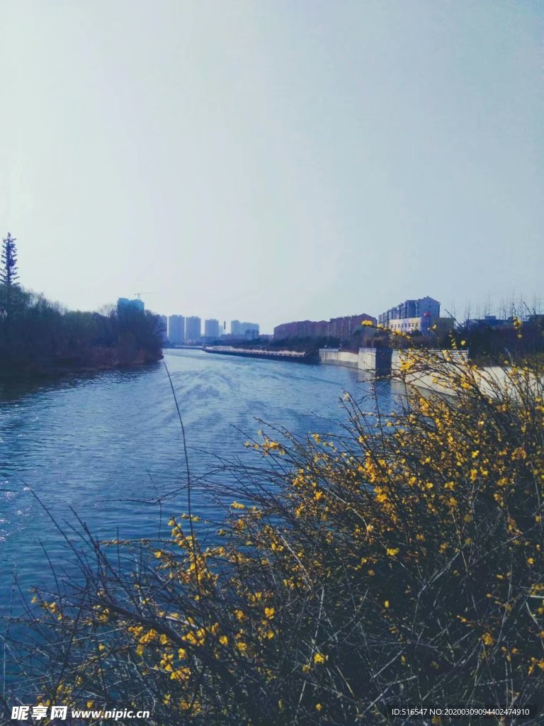 风景