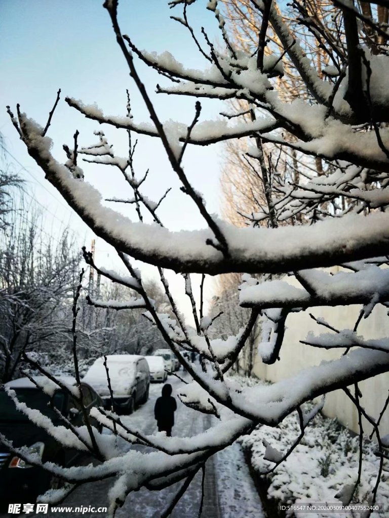 雪景