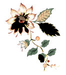一枝花