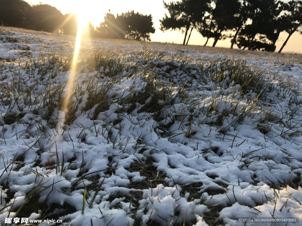 雪后草地