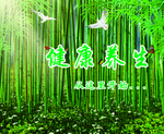 健康养生