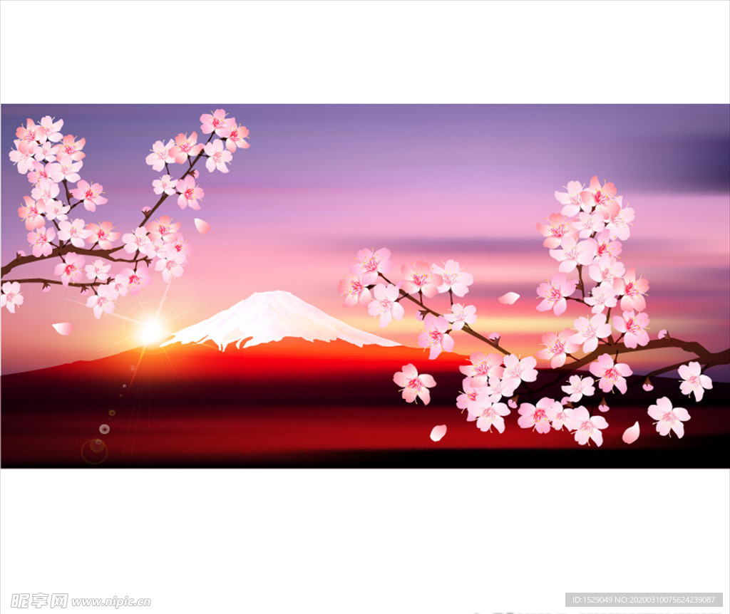 樱花矢量背景