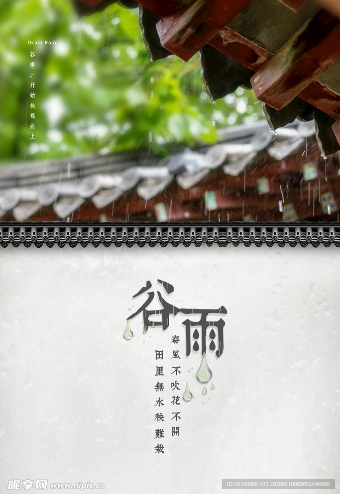 谷雨