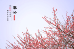 春暖花开
