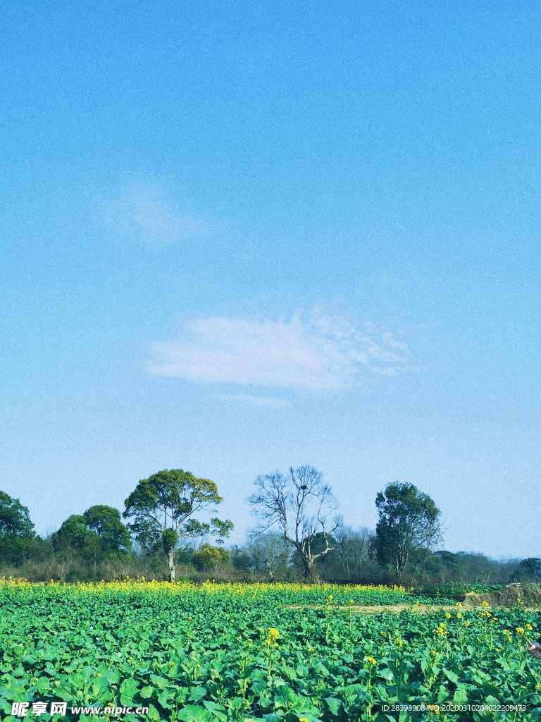 乡间小路旅游风景
