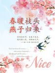 春暖枝头  燕子归来
