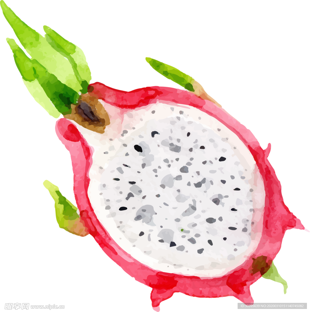 火龙果