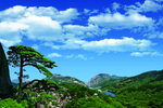 青山