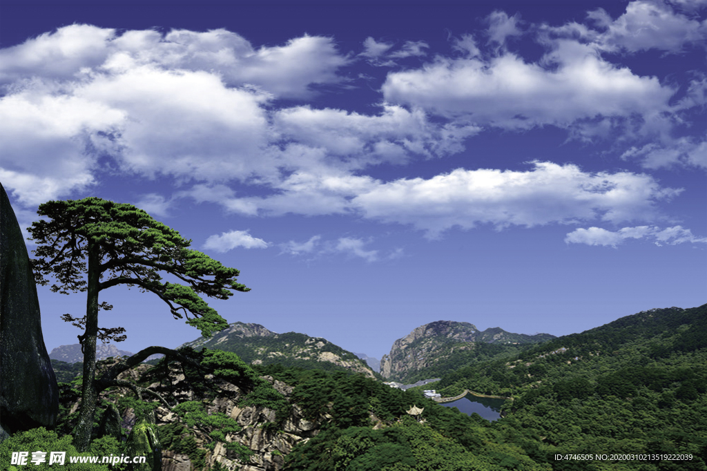 青山