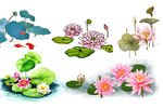 水墨手绘荷花