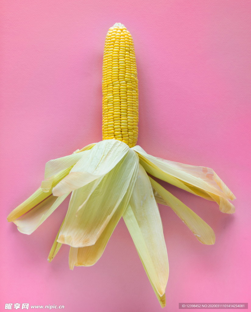 玉米棒子