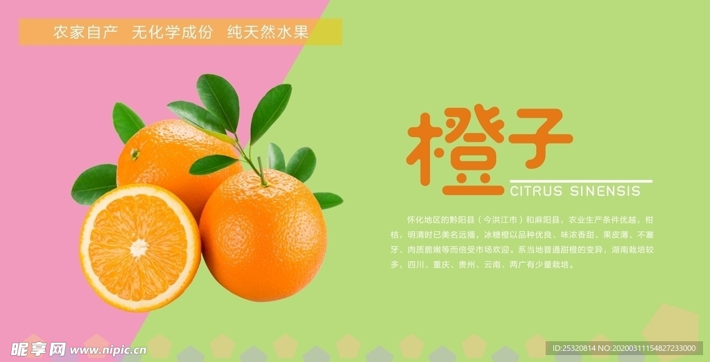 橙子海报