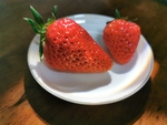 草莓