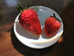 草莓