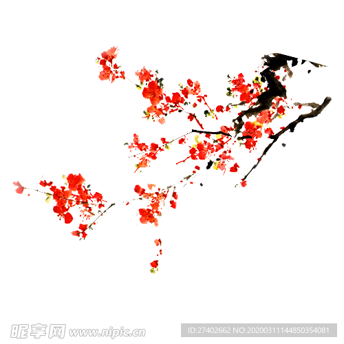 梅花素材
